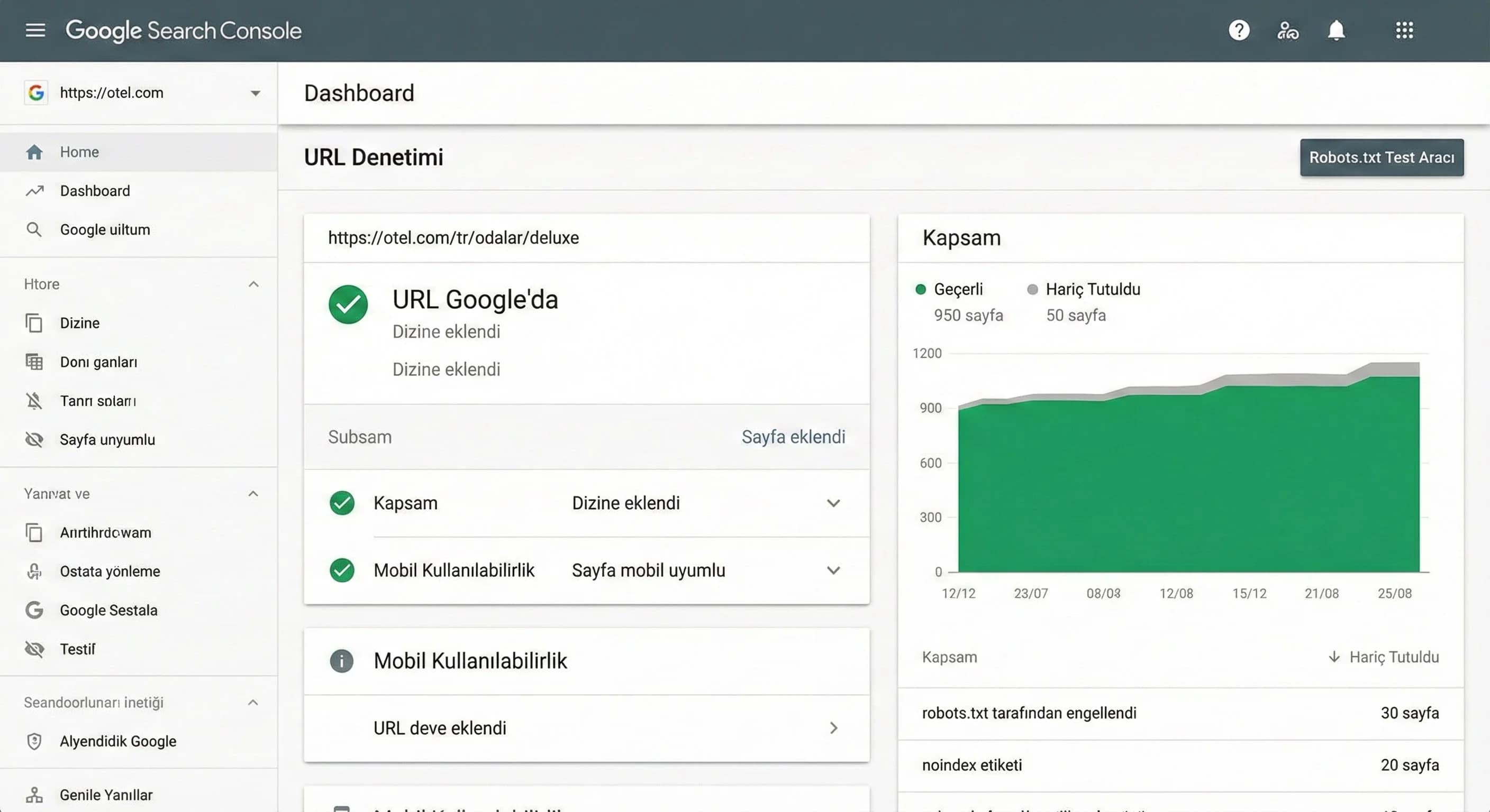 Test ve Doğrulama Süreci (Search Console)
