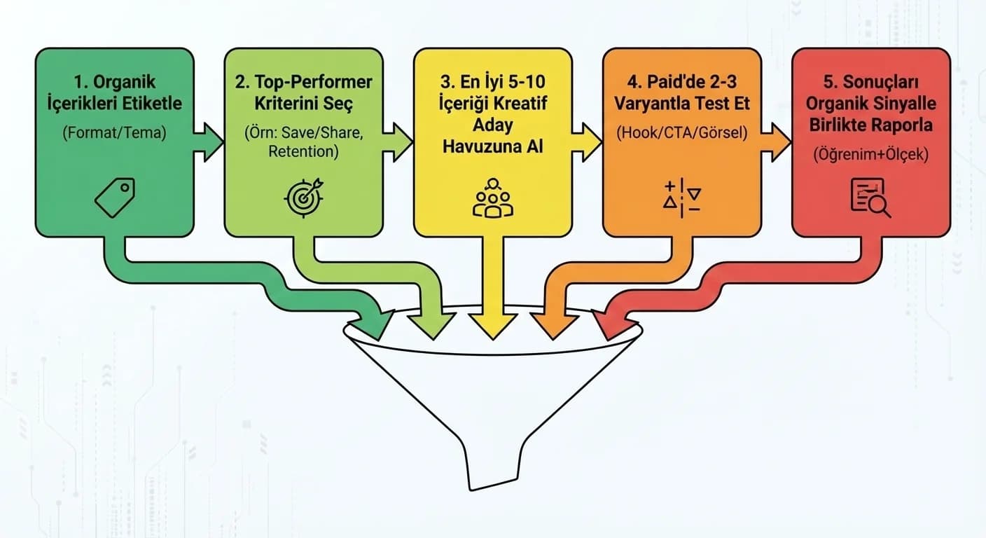 Organik top-performer’dan paid testine geçiş, kreatif öğrenim modeli, otel pazarlaması