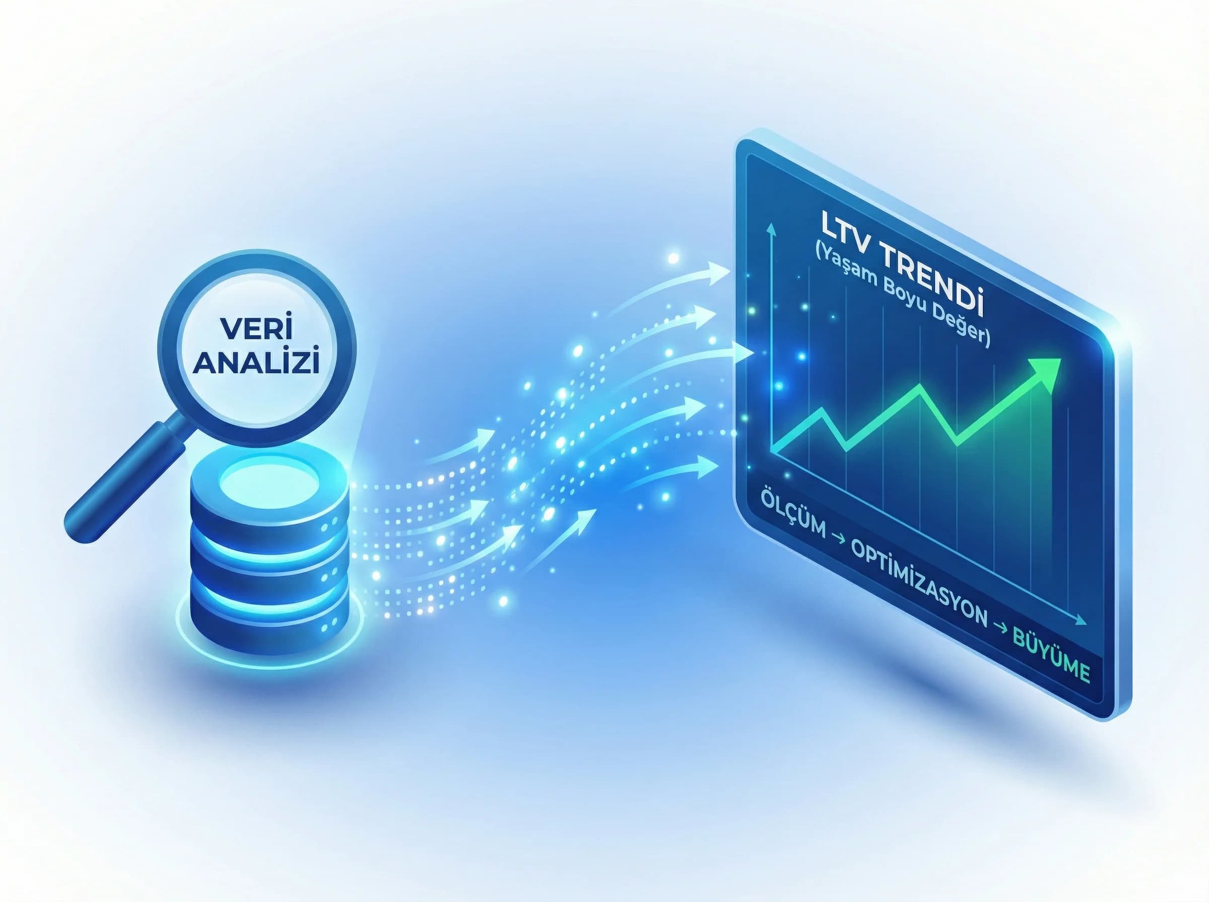 Raporlama ve LTV bölümü amacı ölçüm stratejisi otel bağlamı