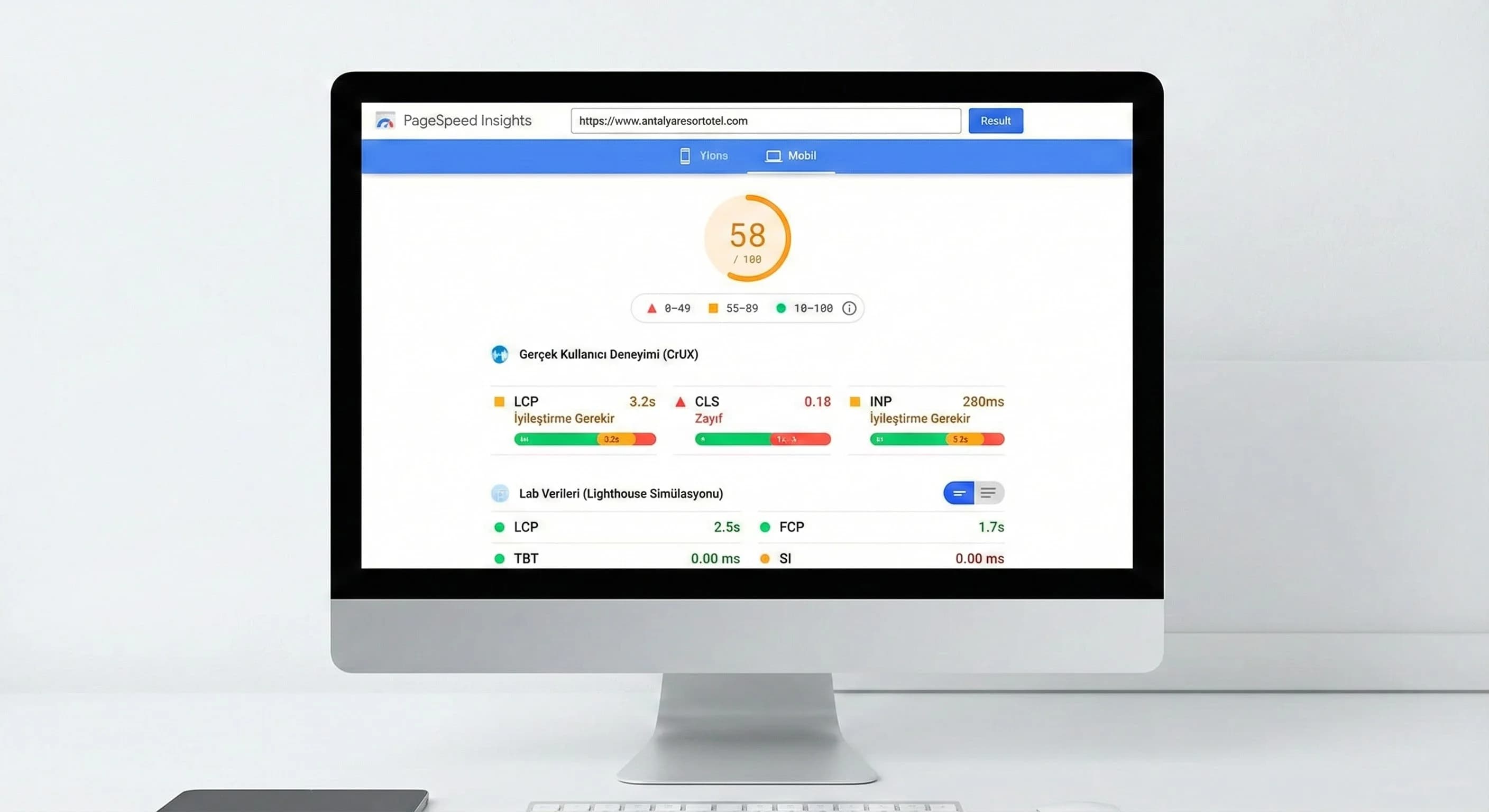 PageSpeed ve CrUX örnek ekranı